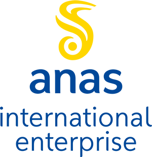 Logo Anas International Enterprise