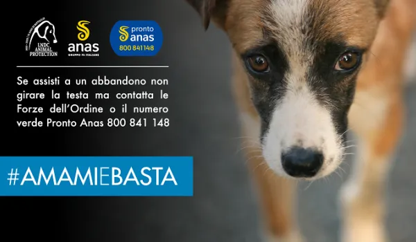 Banner Amami e basta